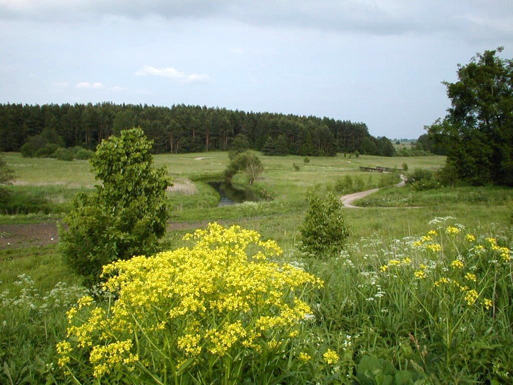 Palac Wojciechy Extérieur photo